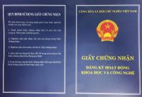 ĐIỀU LỆ TỔ CHỨC VÀ HOẠT ĐỘNG CỦA VIỆN PHÁT TRIỂN THƯƠNG HIỆU ĐẠO MẪU VIỆT NAM